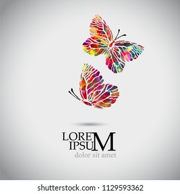 Abstract multicolored butterfly