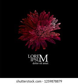 Abstract multicolored elegant flower. Vector