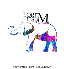 Abstract multicolored elephant. Vector