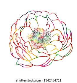 Abstract multicolored flower. Vector