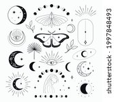 abstract mystic black vector line design elements
