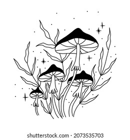 abstract mystical image of wild poisonous witch mushrooms. cosmic moon phases and rituals