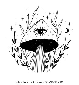 abstract mystical image of wild poisonous witch mushrooms. cosmic moon phases and rituals