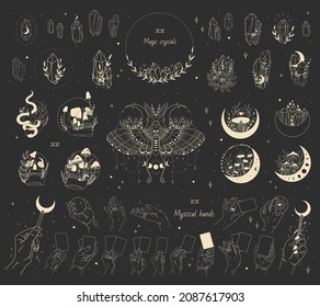 abstract mystical image of wild poisonous witch mushrooms. cosmic moon phases and rituals