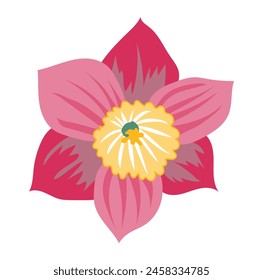 Abstractas cabeza de narciso en diseño plano. Flor de narciso rosa floreciente. Ilustración vectorial aislada.