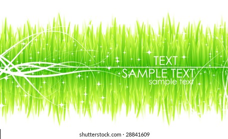 Abstract natural background with grass