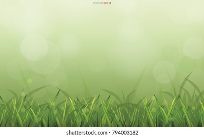 Abstract natural background of green grass field area with light blurred bokeh background. Vector illustration.