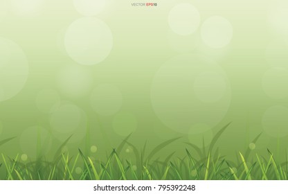 Abstract natural background of green grass field area with light blurred bokeh background. Vector illustration.