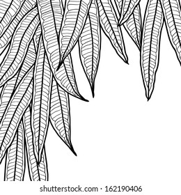 Abstract natural background with long leaves.