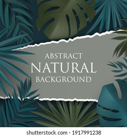 Abstract Natural Background with Tropical Palm and Monstera Leaves. Vector Illustration