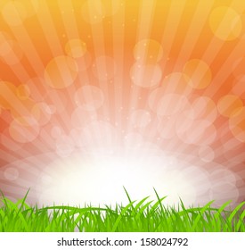 Abstract natural background vector background.