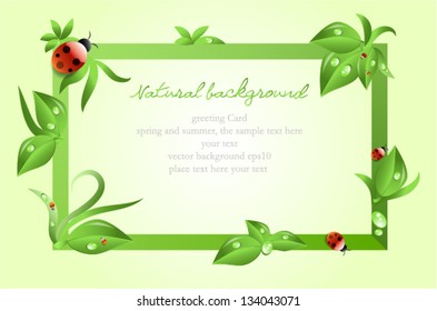 abstract natural background,frame with leaves