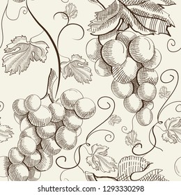 Abstrato padrão natural elegante sem emenda com galhos de uvas no estilo de esboço na ilustração do vetor de fundo claro