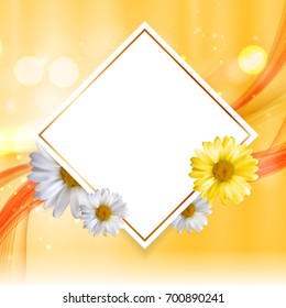 Abstract Natural Floral Frame Background wth Chamomile Flowers. Vector Illustration EPS10