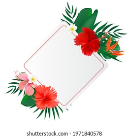 Abstract natural frame with Tropical Palm and Monstera Leaves, exotic flower isolated on white. Vector Illustration EPS10