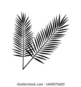 Abstract natural Leaf Vector bw
