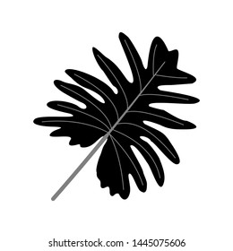 Abstract natural Leaf Vector bw