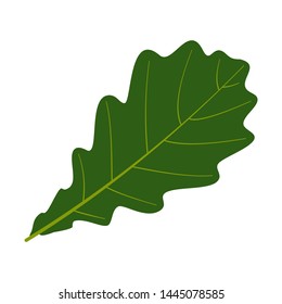 Abstract natural Leaf Vector green
