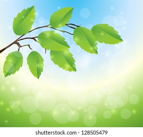 Abstract nature background