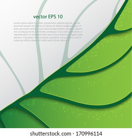 Abstract nature background 