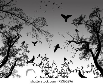 Abstract nature background with birds and trees, vector illustration