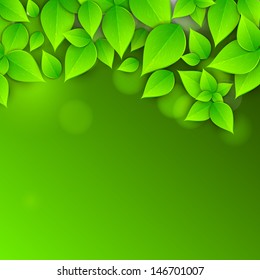 Abstract nature background with fresh green leaves. 