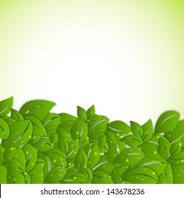 Abstract nature background with fresh leafs.