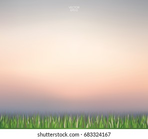 Abstract nature background of green grass and sunset sky. Vector illustration.