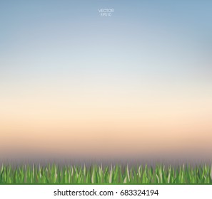 Abstract nature background of green grass and sunset sky. Vector illustration.