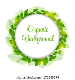 Abstract nature background with leaves. Vector iilustration
