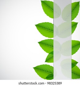 Abstract nature background with leaves. Vector iilustration