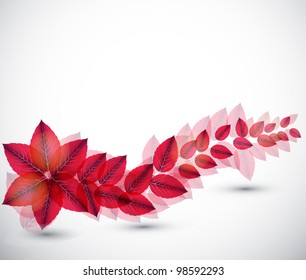 Abstract nature background with leaves. Vector iilustration