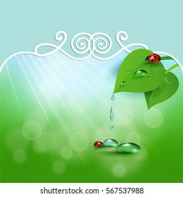 Abstract nature background with lighting effect