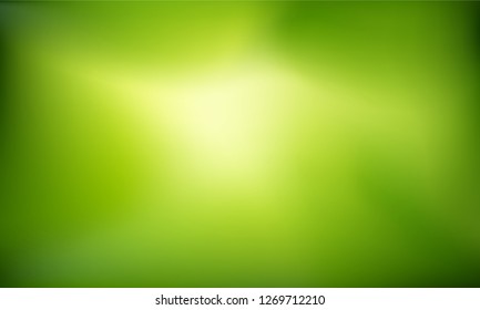 Abstract nature blurred background.   Green gradient backdrop. Vector illustration. Ecology concept for your graphic design, banner or poster