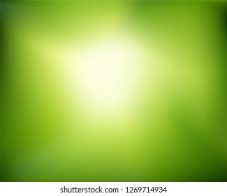 Abstract nature blurred background.   Green gradient with sunlight backdrop. Vector illustration. Ecology concept for your graphic design, banner or poster