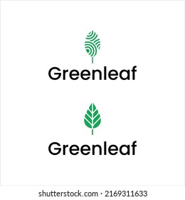 abstract nature grow green leaf  logo design