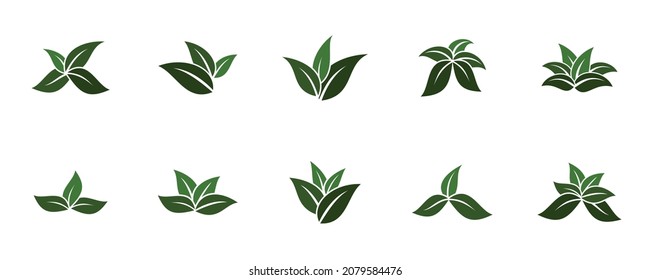 Abstract nature leaf logo related to organic or natural product