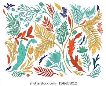 Abstract nature set collection hand drawn. Ethnic ornament, floral print, textile fabric, botanical element. Vintage retro style. Image of leaves and other natural objects. Vector illustration.