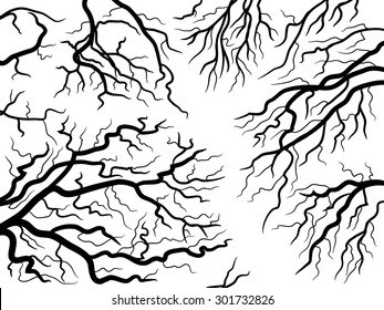 abstract nature texture. tree branches