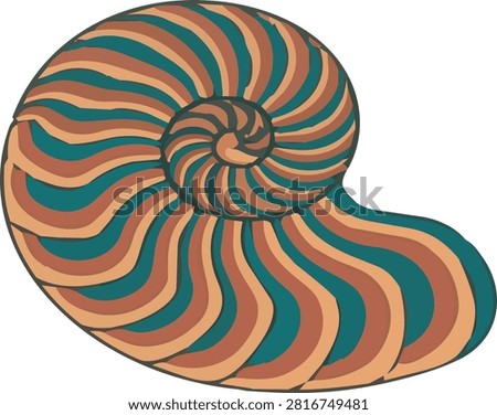 Abstract nautilus shell spiral marine ocean vector illustration design isolated