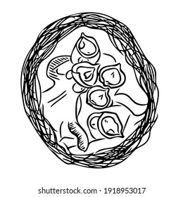 Abstract nest with newly hatched chicks of a small bird-a symbol of the birth of a new life. Vector black and white doodle illustration for design.