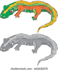 Abstract Newt Lizard Illustration Vector