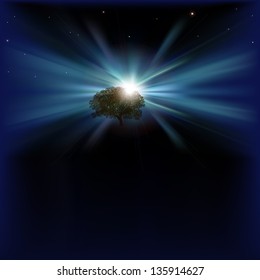 abstract night background with tree and stars