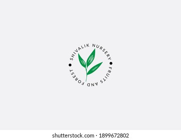 Abstract Nursery Plant Logo Design