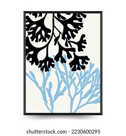 Abstract ocean and sea posters template. Modern sea Botanical trendy black style. Vintage seaweed, fish, shell. Ink wall  art.