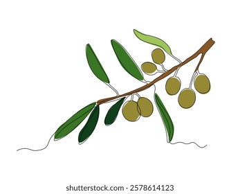abstract olive tree branch with olives,continuous single one line art hand drawing sketch logo 