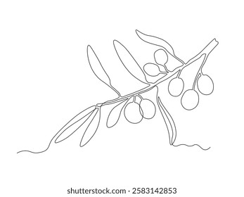 abstract olive tree branch with olives,continuous single one line art hand drawing sketch logo 