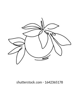 Abstract one continuous line art with botanical illustration with orange tree. Simple digital illustration. Vector graphic design download