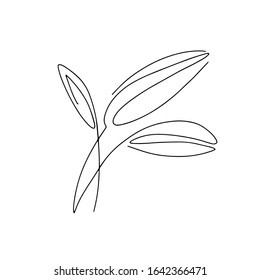 Abstract one continuous line art with botanical illustration with leaf, petal and grass. Simple digital illustration. Vector graphic design download