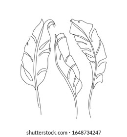 Abstract one line art of banana leaves. Tropical leaves set isolated on white background. Continuous line drawing for trendy modern design. Vector foliage illustration in minimal style